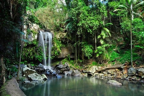 The Tastes of Tamborine Mountain