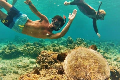 Oahu Small-Group Circle Island Tour with Turtle Snorkeling