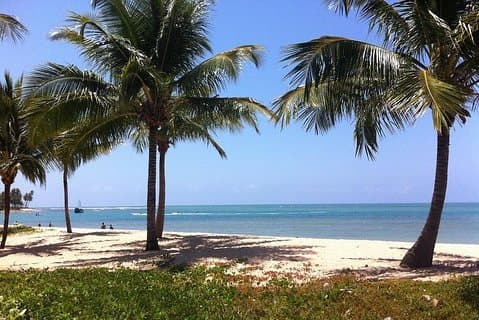 Praia Do Forte & Guarajuba Beach Day Trip