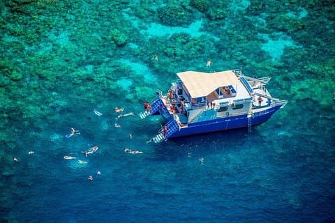 Kona’s Best Morning Snorkel: Captain Cook & Kealakekua Bay