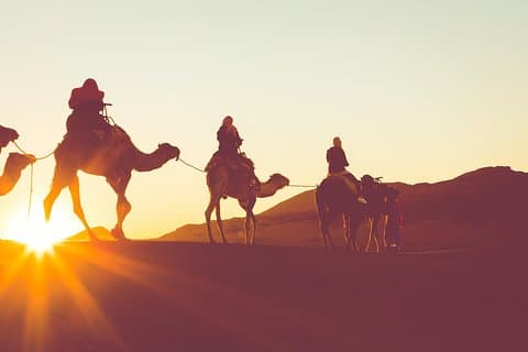 Sunset or Sunrise Camel ride in the Sahara Desert of Douz