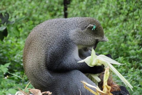 Discover Malawi in 7 days. Private tour with accommodation
