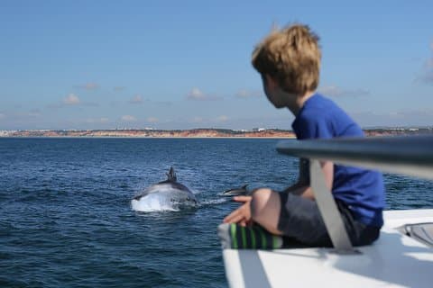Dolphin Quest & Marine Life Search