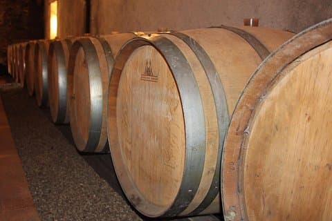 From Angers - Anjou Vineyards in Minivan