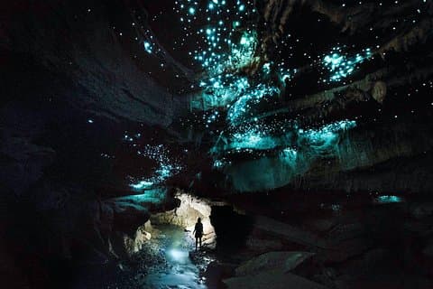 Waitomo’s Hidden Gem: Small-Group Off the Beaten Track Tour