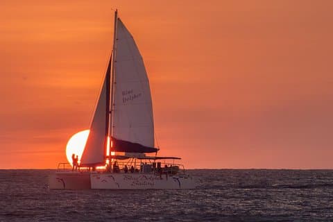 Blue Dolphin - Public Catamaran Tour - Tamarindo