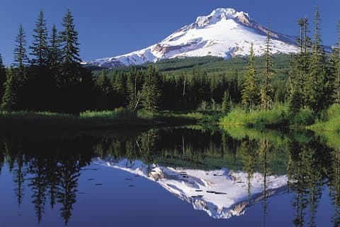 Columbia River Gorge Waterfalls & Mt Hood Tour from Portland, OR