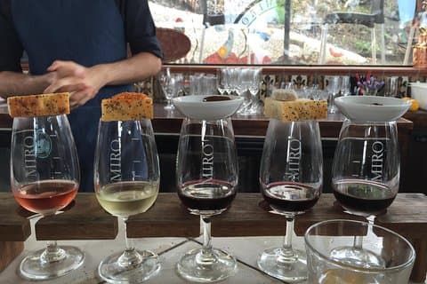 Waiheke island Wine Tours - PREMIUM wine tasting MAX 11 clients !