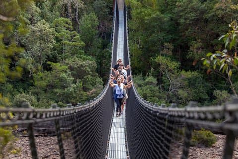 Hobart: Tahune Airwalk, Hastings Caves & Thermal Springs Pool