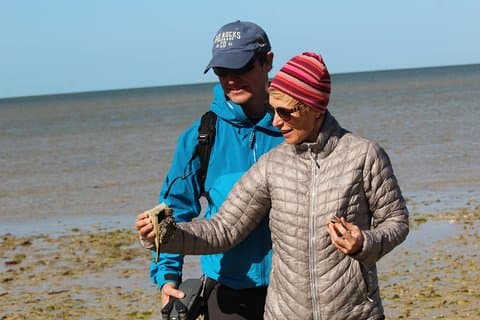 Everglades Small Group Guided Boating & Walking Tour Expedition