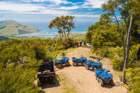 Quad Bike - Bayview Circuit