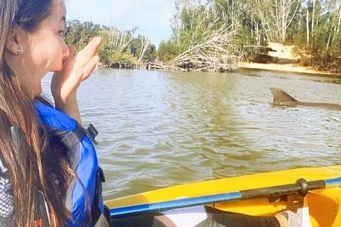 Dolphin & Manatee Kayaking Tour in Orlando Area