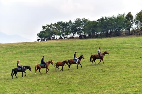 Scenic Trail Rides