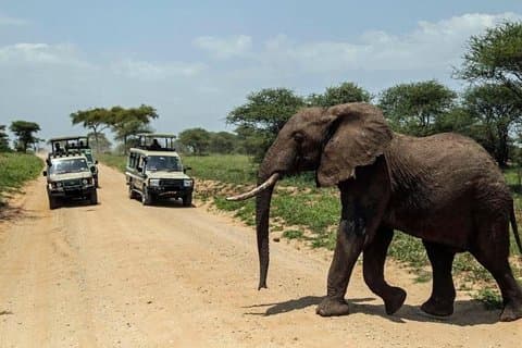 15 Days Spectacular Kenya & Tanzania Safari with Zanzibar Beach