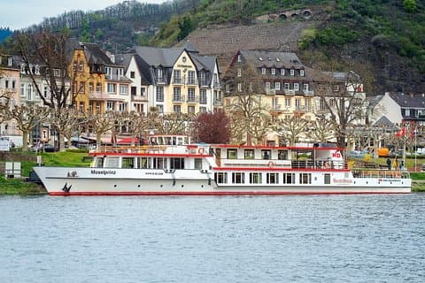 Cochem 1-Hour Sightseeing Cruise