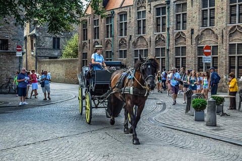 Private sightseeing tour to Bruges from Amsterdam