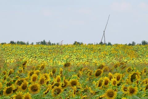 100 km by bike near Bucharest