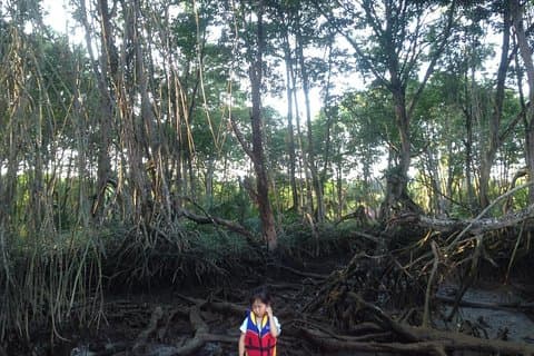 Proboscis Monkey, Water Village and Night Tour (Private)
