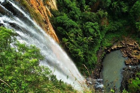 Glow Worms + Day/Night Rainforest & Waterfalls Experience