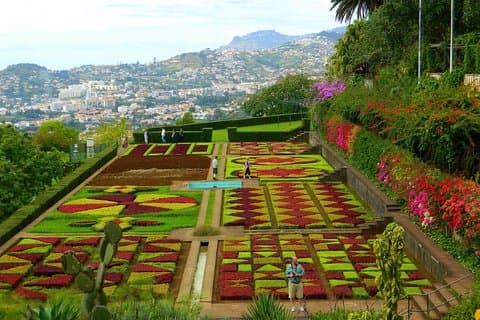 Private Half day tour around Madeira Island