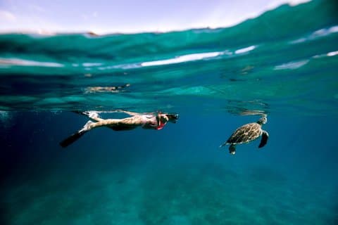 Turtle Cove Catamaran Snorkel and Sail at Little Buck Island STT