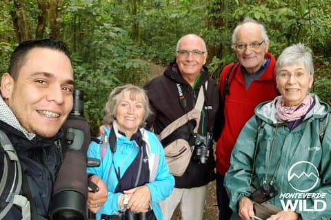 Morning Walk at Monteverde Cloud Forest Reserve -Monteverde Wild-