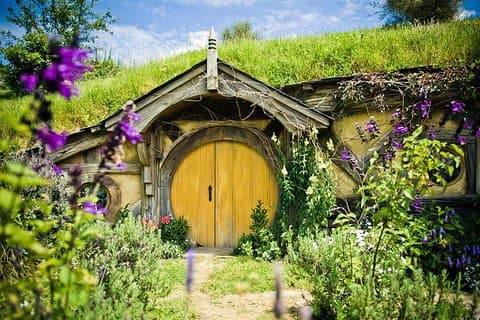 Auckland to Rotorua via Hobbiton Movie Set Tour - One Way