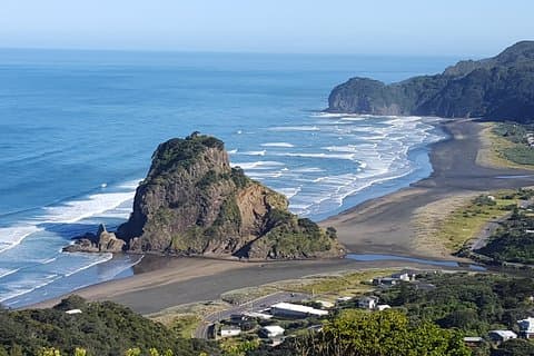 Afternoon Piha Beach and Rainforest Tour from Auckland