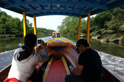 Proboscis Monkey Tour (Private)