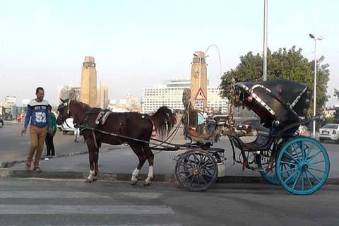 Private Cairo By Night And Walking Tours In Cairo