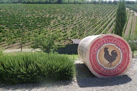 Small group Tuscan Wineries, Olive Oil & Gourmet Lunch or Dinner