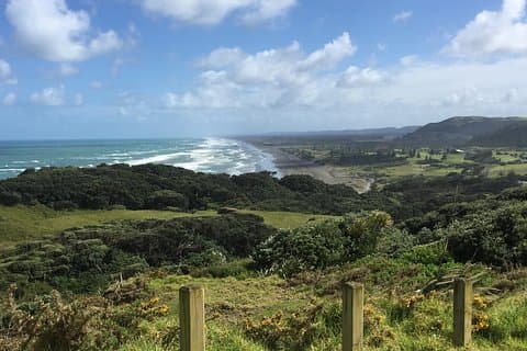 “City to Surf” - private tour with German tour guide