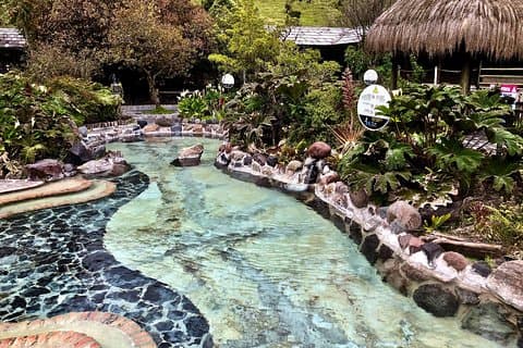 Papallacta Hot Springs & Cloud Forest Reserve Private Tour