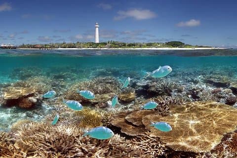 Amedee Lighthouse