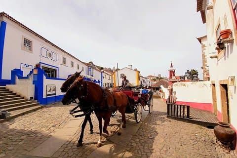 Obidos Medieval Village World Heritage Private Tour