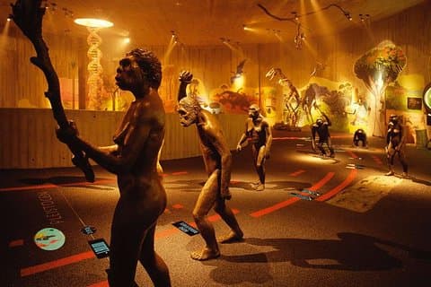 Time Capsule Tour: Neanderthal Museum, Medieval Castle and Tito's birthplace