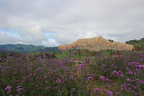 Fruiful Oneday! Trip outskirt of a City from end to end