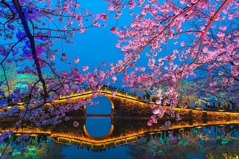 Private Wuxi Day Tour from Shanghai by Bullet Train