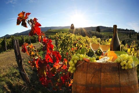 Bella Toscana - San Gimignano plus 2 Chianti Wineries and lunch