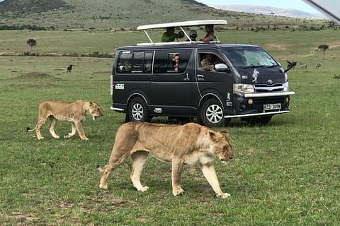 3 Days adventurous Maasai Mara Budget Group Safari