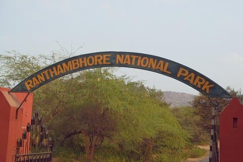 Ranthambore to Jaipur one way drop service