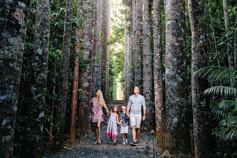 Day Tour to Paronella Park, Lake Barrine and Millaa Millaa Falls