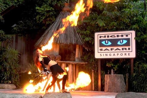 Singapore Zoo & Night Safari Day ( Tickets & Transfer )