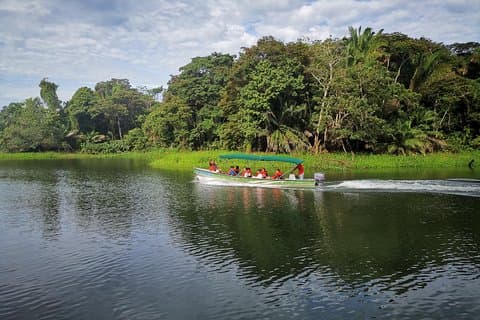 Monkey & Sloth Panama Canal Boat Safari with Casco Viejo Brunch