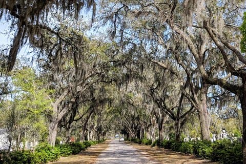 Private Tour of Savannah's Historic/Victorian Districts & Bonaventure Cemetery
