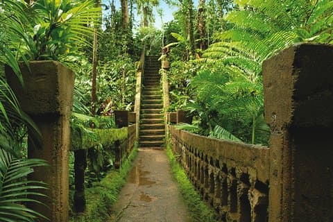 Paronella Park and Millaa Millaa Falls Full-day Tour from Cairns