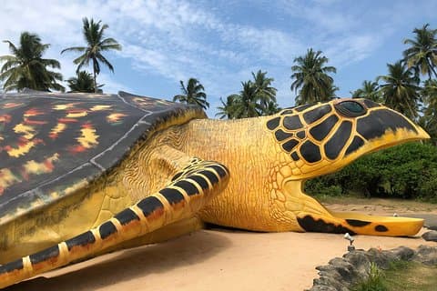 Galle Day Tour