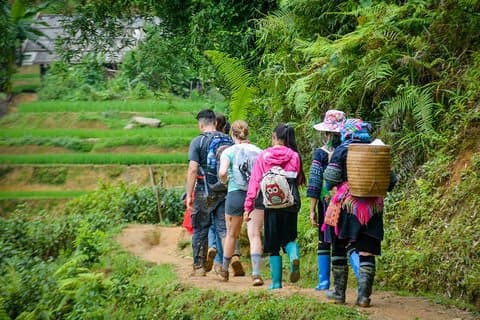 Trekking Through Rice Terraced Fields - 1Day​