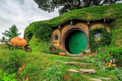Hobbiton Movie Set Tour - Departs Tauranga