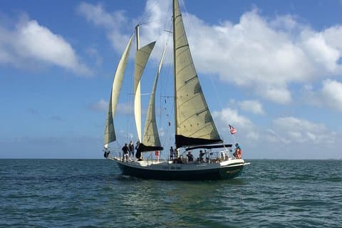 Sunset Sailing Cruise Aboard Schooner Clearwater-Clearwater Beach